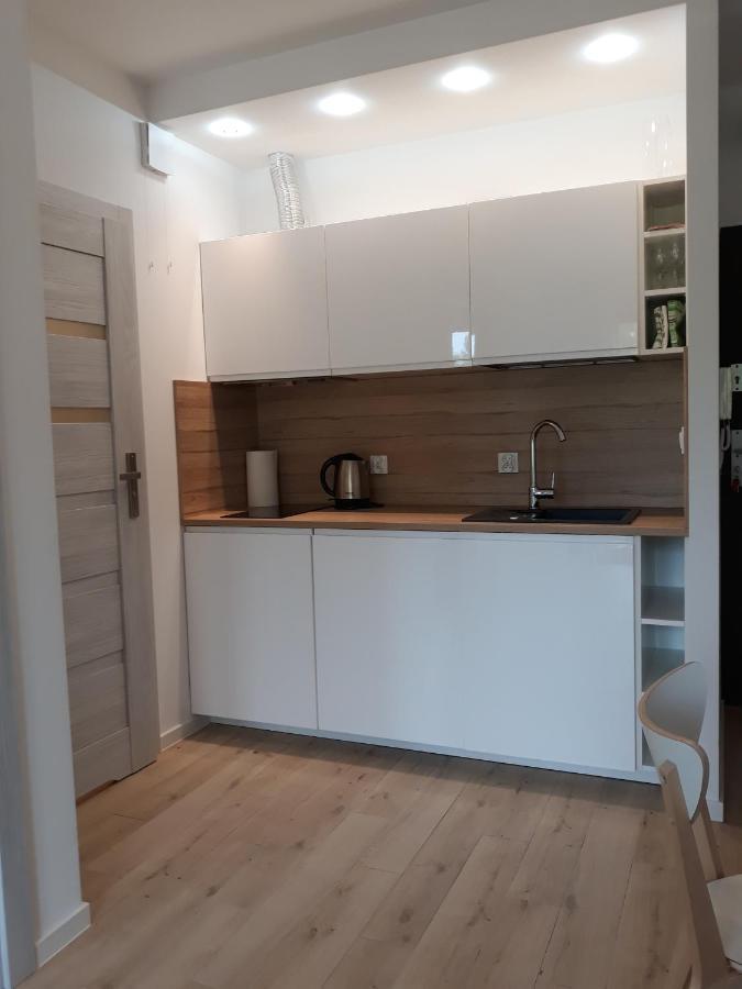 Apartament Szary Wilk Świeradów-Zdrój Dış mekan fotoğraf